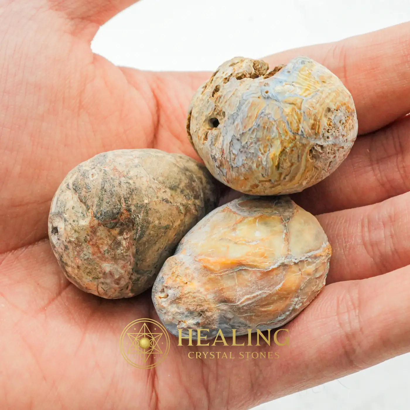 Deer Pearl - Type V1 - Animal Totem Stones, Power Animal Stones, Spirit Stone, Spirit Crystal, Guardian Stone, Guardian Crystal, Earth Spirit Stone, Nature Stone, Shamanic, Sacred
