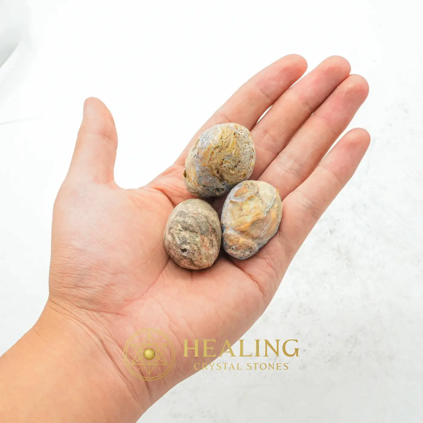 Deer Pearl - Type V1 - Magical Stones, Magickal Stones, Magickal Crystals, Ritual Power Stones, Ritual Crystals, Enchanted Stones, Ceremnoial, Ritualistic, Mysticism, Occult