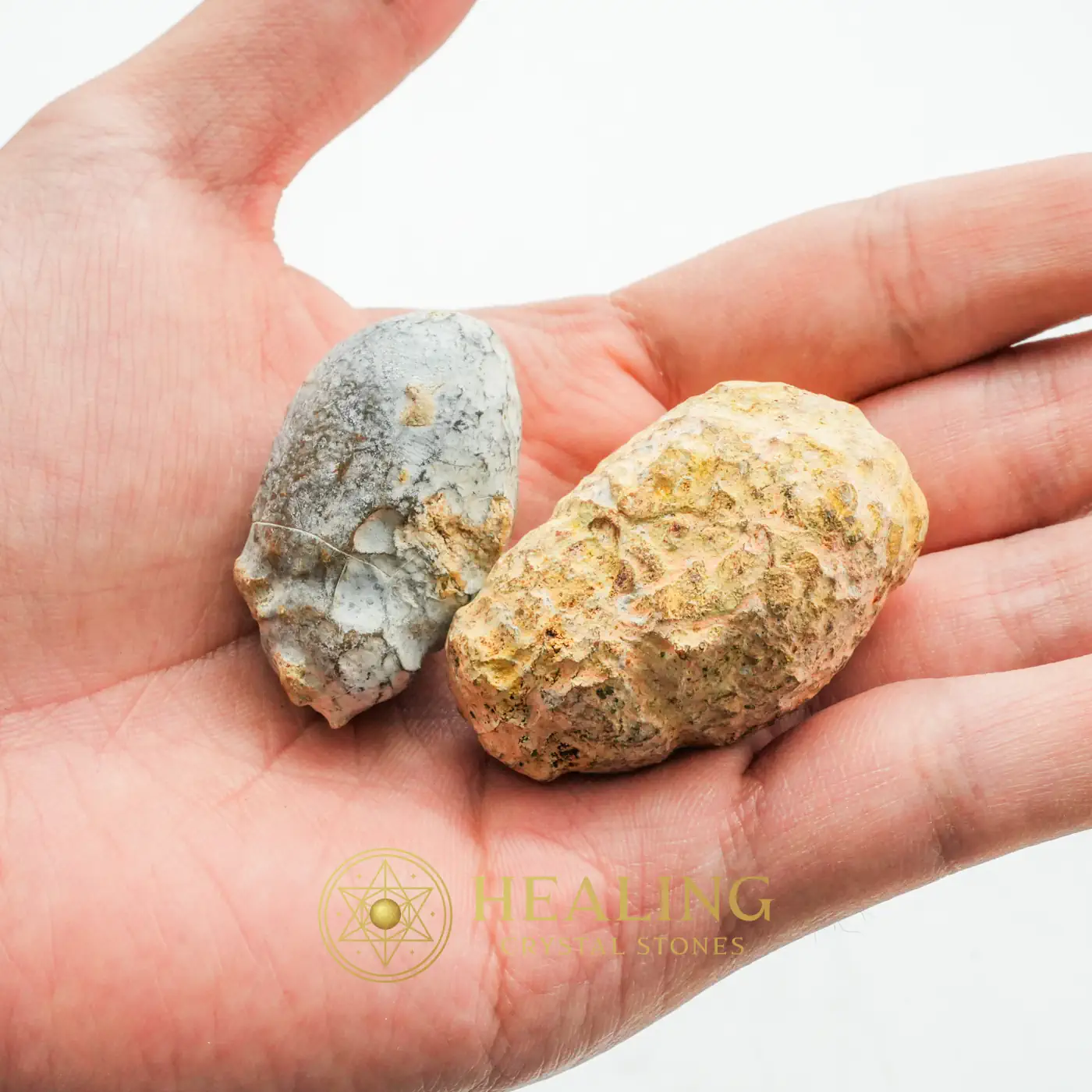 Dewadaru Wood Pearl - Type D1 - Ritual Power Stones, Shaman, Sacred, Balance, Emotional Healing, Luck, Antique, Solar Crystal, Guardian Amulet, Occult Artifact