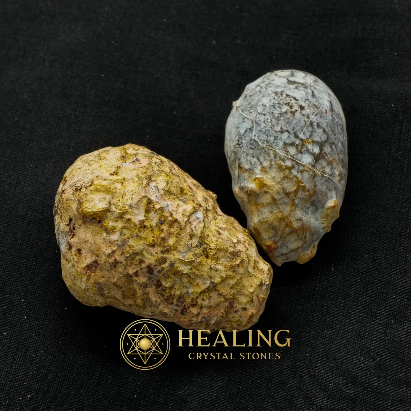Dewadaru Wood Pearl - Type D1 - Magickal Crystals, Magical, Enchanted Stones, Aura, Chakra, Protection, Authentic, Spirit Crystal, Mystical Relic, Energy Balance Stone