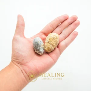 Dewadaru Wood Pearl - Type D1 - Ritual Crystals, Occult, Artifact, Energetic, Meditation, Warding Stone, Ornamental, Nature Stone, Ancient Relic, Energy Alignment Crystal