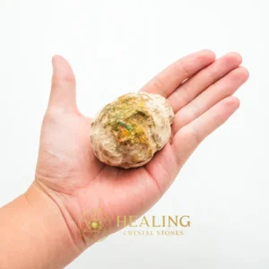 Dewadaru Wood Pearl - Type D2 - Talisman Crystals, Spiritual, Enchanted, Inner Wisdom, Balance, Cleansing, Unique, Life Force Stone, Guardian Stone, Energy Shield Crystal