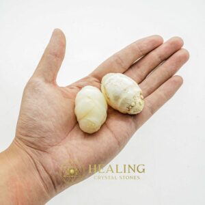 Elephant Pearl - Type H (Oval) - Bezoar Stones, Healing Crystals, Crystal Stones, Mustika Pearls, Spiritual Crystals, Energy Stones, Ritual Crystals, mystical, shamanic, spiritual