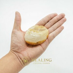 Elephant Semen Fossil - Type A1.5 - Healing Bezoar Stones, Healing Crystals, Spiritual Crystals, Ritual Power Stones, Energy Stones, Magickal Crystals, Crystal Stones, metaphysics, mystical, spiritualism