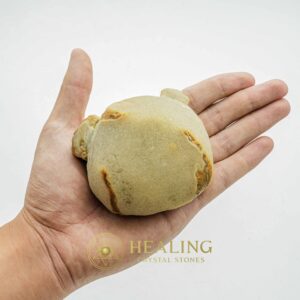 Elephant Semen Fossil - Type B - Animal Totem Stones, Mustika Pearls, Mustika Stones, Talismans Stones, Amulet Stones, Healing Stones, Ritual Crystals, shaman, magical, occult