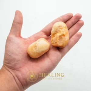 Flying Fish - Type C1 (Male) - Mustika Pearls, Mustika Stones, Talismanic Stones, Amulet Stones, Talisman Crystals, Guardian Talisman, Guardian Amulet, Rare, Authentic, Sacred Stones