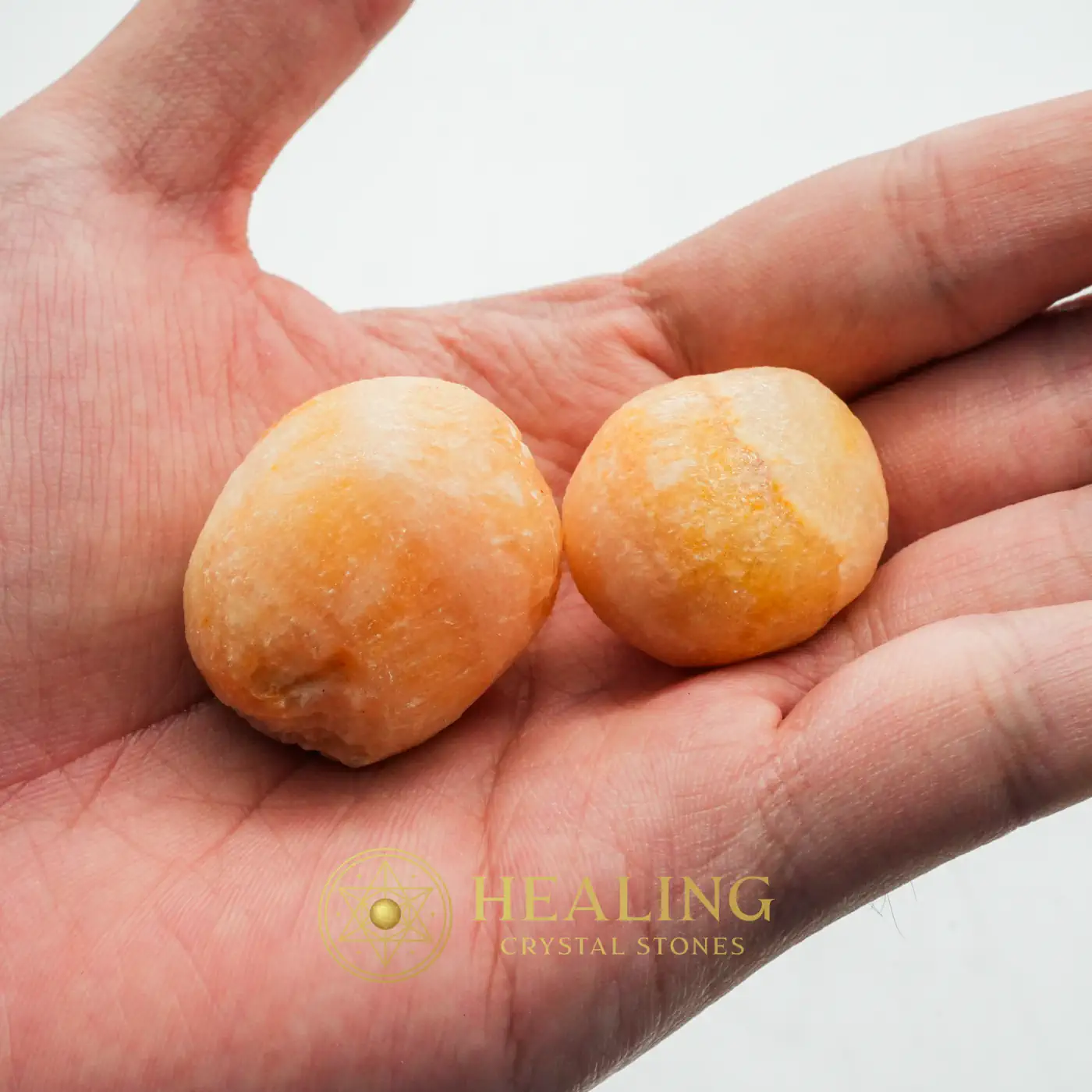 Flying Fish - Type C2 (Male) - Bezoar Stones, Bezoar Crystals, Healing Bezoar Stones, Ancient Relic, Mystical Relic, Artifact, Relic, Divine, Rare, Antique