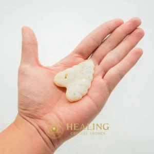 Fossil Leaf - Type H3 - Healing Crystals, Energy Stones, Aura, Chakra, Universal Energy, Cleansing, Rare, Authentic, Exotic, Protection