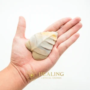 Fossil Leaf - Type H4 - Crystal Stones, Healing Stones, Sacred Crystals, Chakra, Inner Wisdom, Fortune, Protection, Positive Energy, Rare, Authentic