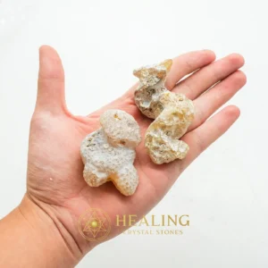 Fossilized Agarwood Gaharu – Type C1 (Sap) -Cleansing, Purification, Protection, Warding Stone, Protective Stone, Energy Shield Crystal, Negative Energy Protection, Aura Cleansing Stone, Guardian Crystal, Guardian Stone