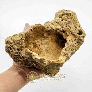 Fossilized Ants Nest - Type B - Animal Totem Stones, Crystal Stones, Talismanic Stones, Healing Stones, Magickal Crystals, Talismans Stones, Enchanted Stones, shamanic, mystical, spiritual
