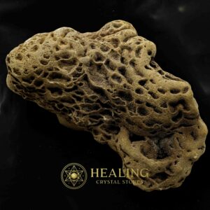 Fossilized/Relics