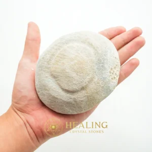 Fossilized Bamboo - Type B3 - Aura Crystal, Aura Cleansing Stone, Aura, Chakra, Sacral Chakra Crystal, Meditation, Awakened, Inner Wisdom, Spiritual Healing, Harmony