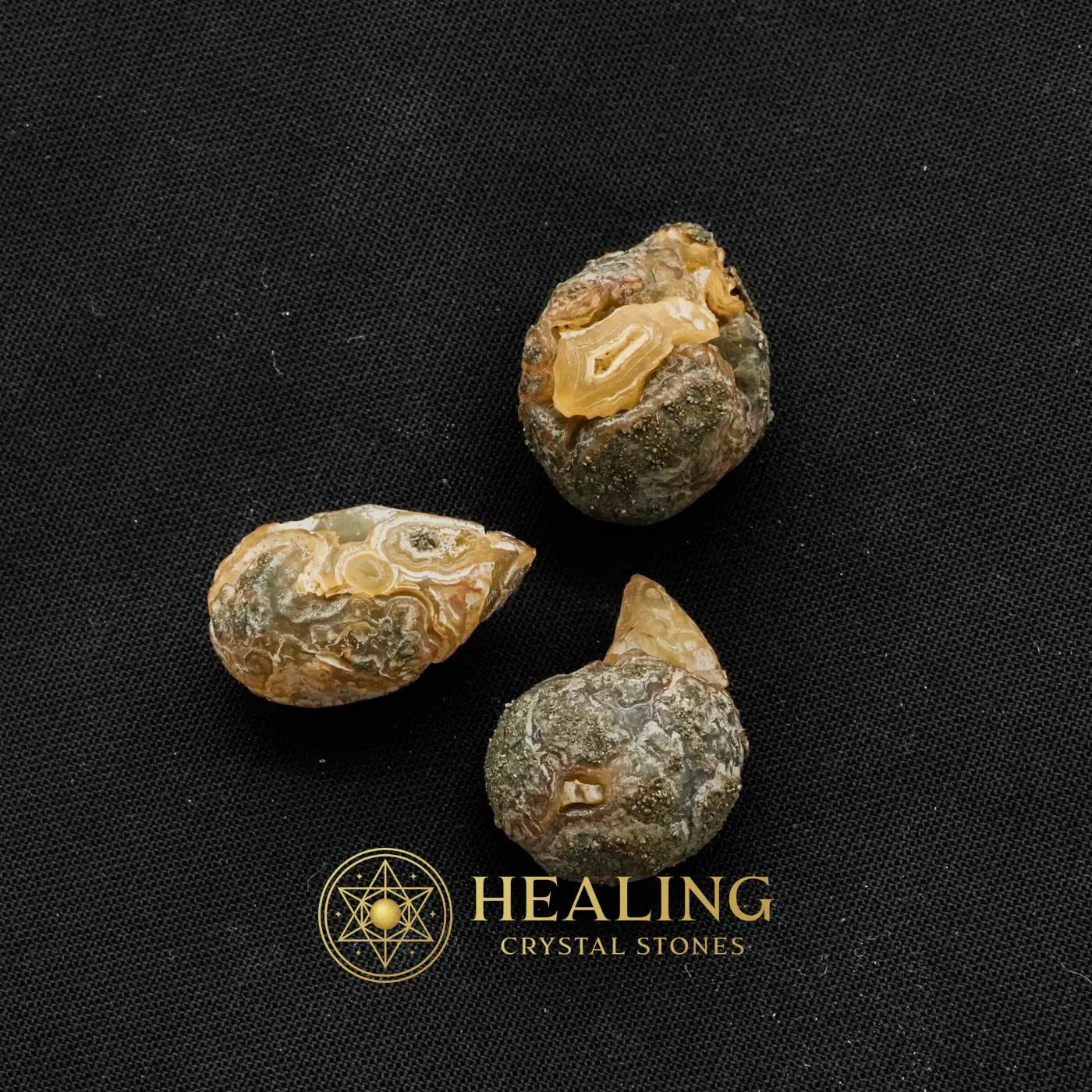 Fossilized Banyan Fruit - Type A - Ritual Power Stones, Ritual Crystals, Magical Stones, Magickal Crystals, Enchanted Stones, Sacred, Mysticism, Divine, Fortune, Luck