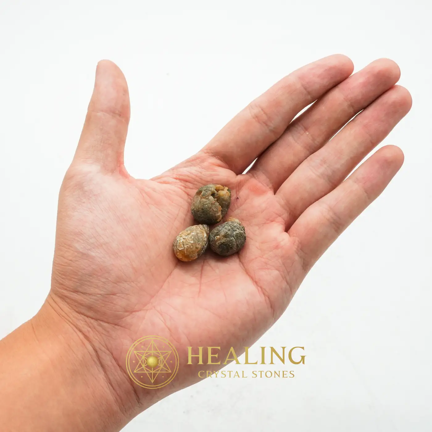 Fossilized Banyan Fruit - Type A - Guardian Crystal, Guardian Stone, Protective Stone, Warding Stone, Energy Shield Crystal, Negative Energy Protection, Positive Energy, Aura Crystal, Cleansing, Protection