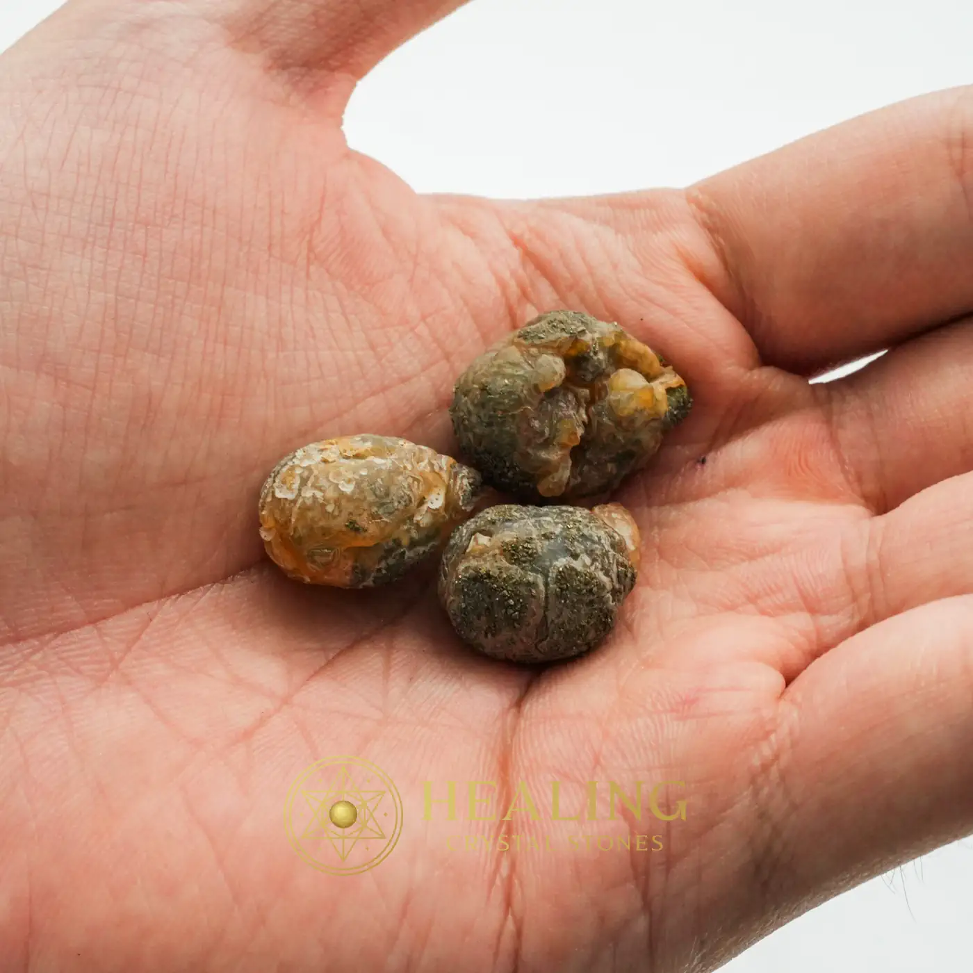 Fossilized Banyan Fruit - Type A - Sacred Stones, Sacred Crystals, Relic, Ancient Relic, Mystical Relic, Authentic, Antique, Rare, Exotic, Exceptional