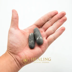 Fossilized Black Stigi - Type B1 - Healing Bezoar Stones, Bezoar Crystals, Bezoar Stones, Healing Crystals, Healing Stones, Spiritual Crystals, Rare, Ancient Relic, Mystical Relic, Authentic