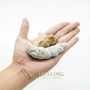 Fossilized Caterpillar - Type B1 - Crystal Stones, Mustika Stones, Healing Stones, Animal Totem Stones, Magical Stones, Ritual Crystals, Amulet stones, occult, psychic, shamanic