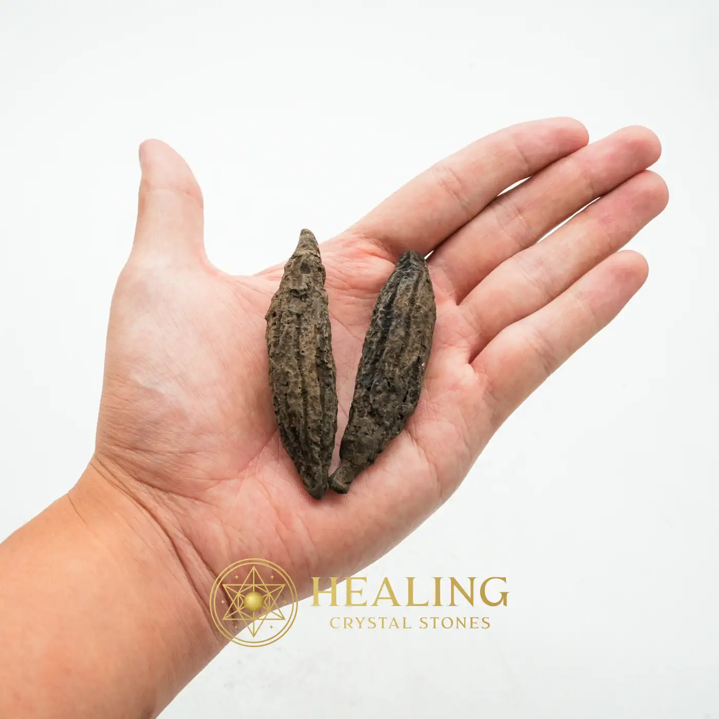 Fossilized Chocolate Fruit - Type A - Crystal Stones, Healing Crystals, Mustika Stones, Talisman Crystals, Talismans Stones, Guardian Talisman, Spiritual Crystals, Aura, Meditation, Harmony