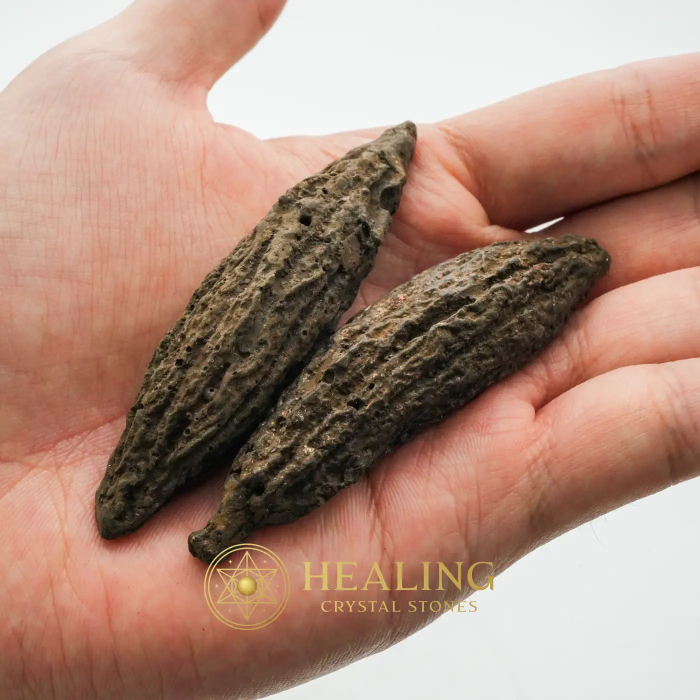 Fossilized Chocolate Fruit - Type A - Chakra, Sacral Chakra Crystal, Energy Balance Stone, Energy Alignment Crystal, Meditation, Inner Wisdom, Aura, Spiritual Healing, Balance, Harmony