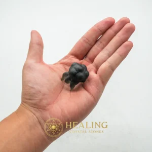 Fossilized Crab Pearl - Type A1 - Rare, Authentic, Antique, Exotic, Unique, Exceptional, Ornamental, Ancient Relic, Mystical Relic, Divine