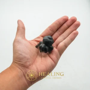 Fossilized Crab Pearl - Type A10 - Animal Totem Stones, Power Animal Stones, Spirit Stone, Earth Spirit Stone, Nature Crystal, Shamanic, Mystical, Inner Wisdom, Sacred, Protection