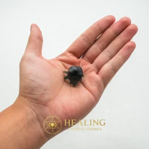 Fossilized Crab Pearl - Type A12 - Magical Stones, Magickal Stones, Magickal Crystals, Enchanted Stones, Ritual Crystals, Sacred Crystals, Mysticism, Ritualistic, Meditation, Inner Wisdom
