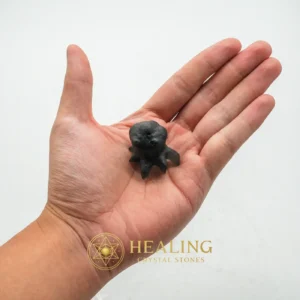 Fossilized Crab Pearl - Type A13 - Bezoar Stones, Bezoar Crystals, Healing Bezoar Stones, Spirit Stone, Spirit Crystal, Cleansing, Purification, Aura, Guardian Stone, Protection