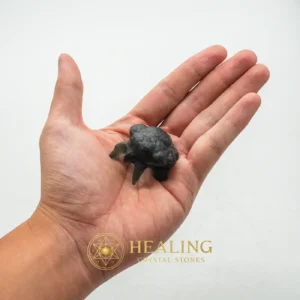 Fossilized Crab Pearl - Type A16 - Energy Stones, Energy Balance Stone, Energy Alignment Crystal, Sacral Chakra Crystal, Chakra, Aura Crystal, Meditation, Universal Energy, Balance, Harmony