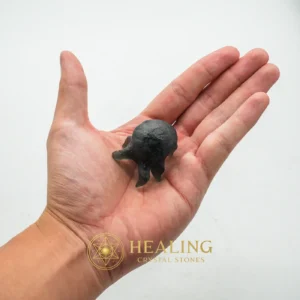 Fossilized Crab Pearl - Type A2 - Sacred Stones, Sacred Crystals, Mystical, Shamanic, Shaman, Spiritualism, Ritualistic, Ceremnoial, Divine, Mysticism