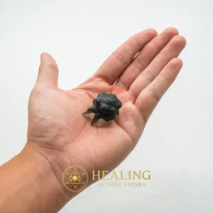 Fossilized Crab Pearl - Type A5 - Guardian Stone, Guardian Crystal, Guardian Talisman, Guardian Amulet, Warding Stone, Protective Stone, Energy Shield Crystal, Sacred, Protection, Luck
