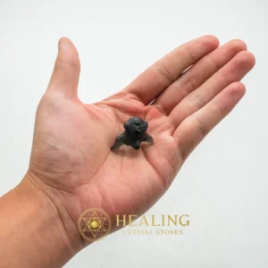 Fossilized Crab Pearl - Type A6 - Mustika Pearls, Talismanic Stones, Amulet Stones, Talisman Crystals, Sacred Stones, Mystical, Guardian Talisman, Protection, Fortune, Luck