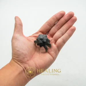 Fossilized Crab Pearl - Type A7 - Nature Crystal, Nature Stone, Spirit Stone, Spirit Crystal, Earth Spirit Stone, Animal Totem Stones, Power Animal Stones, Shamanic, Shaman, Inner Wisdom