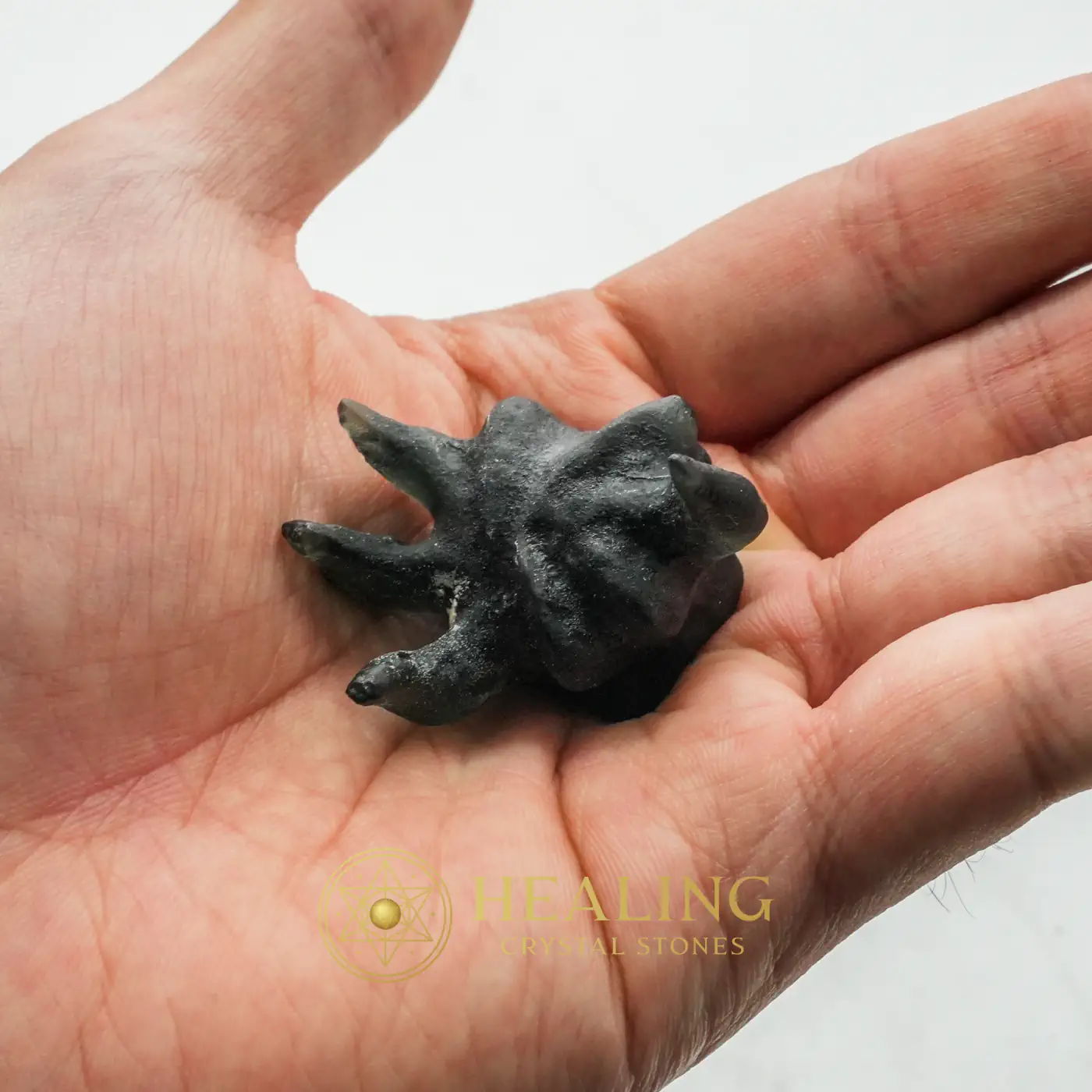 Fossilized Crab Pearl - Type A7 - Spiritualism, Spiritual Healing, Emotional Healing, Meditation, Inner Wisdom, Positive Energy, Aura, Chakra, Cleansing, Purification
