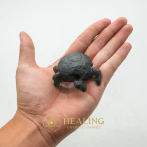 Fossilized Crab Pearl - Type A8 - Healing Crystals, Crystal Stones, Mustika Pearls, Mustika Stones, Talismanic Stones, Sacred Crystals, Guardian Crystal, Protection, Fortune, Divine