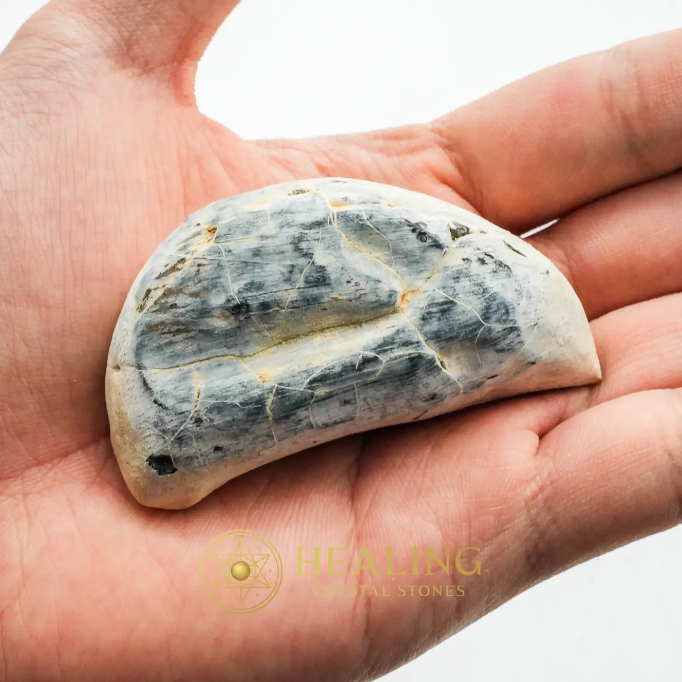 Fossilized Kebak Wood - Type A1 - Universal Energy, Positive Energy, Energetic, Energy Stones, Energy Balance Stone, Energy Alignment Crystal, Life Energy Crystal, Solar Crystal, Harmony, Balance