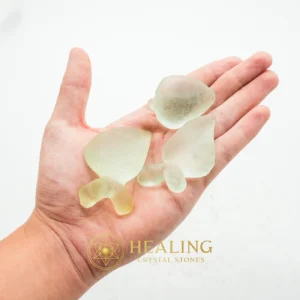 Fossilized Leaves from Sacred Beetle Tree - Type A1 - Crystal Stones, Mustika Stones, Magical Stones, Ritual Crystals, Sacred Crystals, Fortune, Luck, Positive Energy, Spiritual Healing, Protection