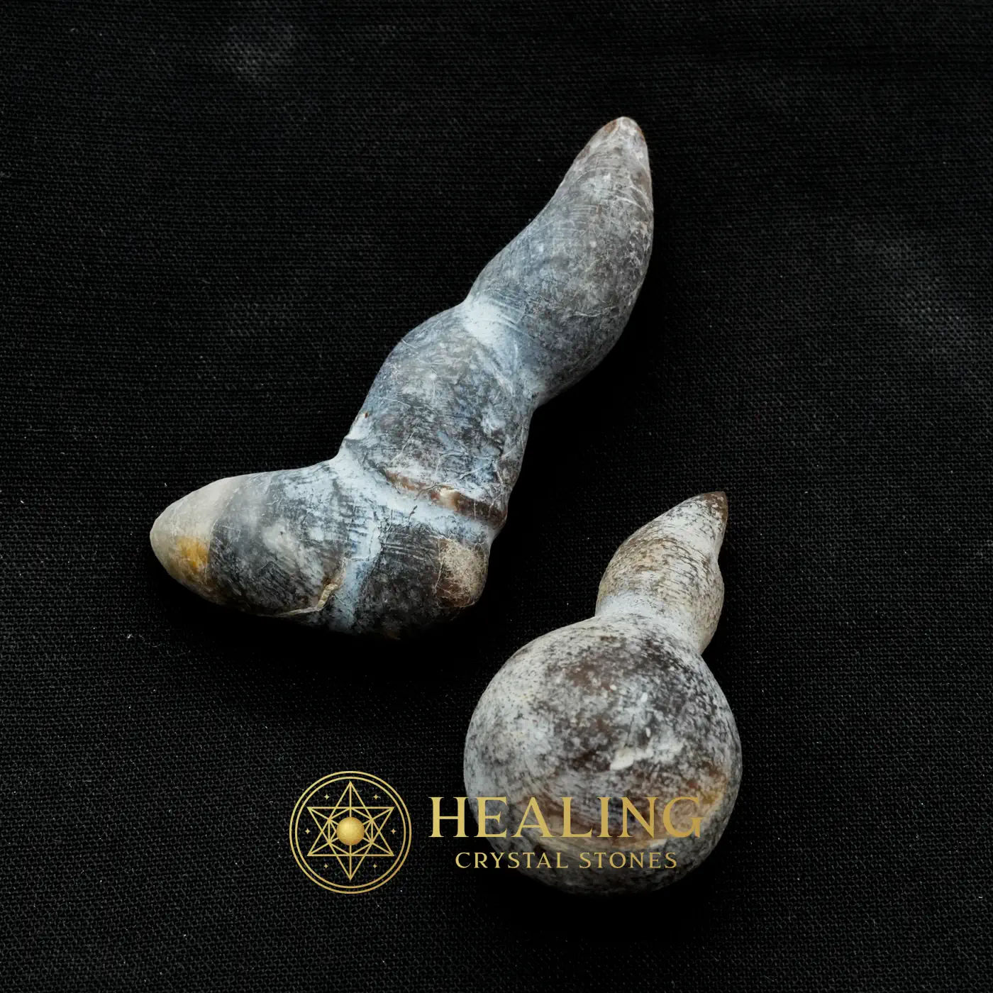 Fossilized Phyton Horn - Type A - Energy Stones, Energy Balance Stone, Energy Alignment Crystal, Positive Energy, Universal Energy, Harmony, Balance, Aura Crystal, Life Energy Crystal, Life Force Stone
