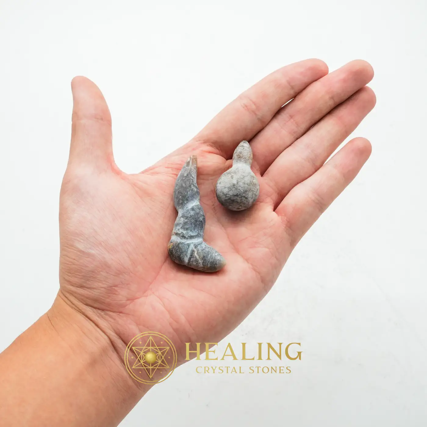 Fossilized Phyton Horn - Type A - Sacred Stones, Sacred Crystals, Sacred, Divine, Relic, Artifact, Ancient Relic, Mystical Relic, Rare, Authentic