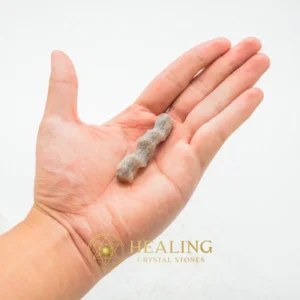 Fossilized Rattan Petok - Type C (Small Brown) - Animal Totem Stones, Power Animal Stones, Guardian Crystal, Guardian Stone, Spirit Crystal, Spirit Stone, Nature Stone, Nature Crystal, Shaman, Shamanic