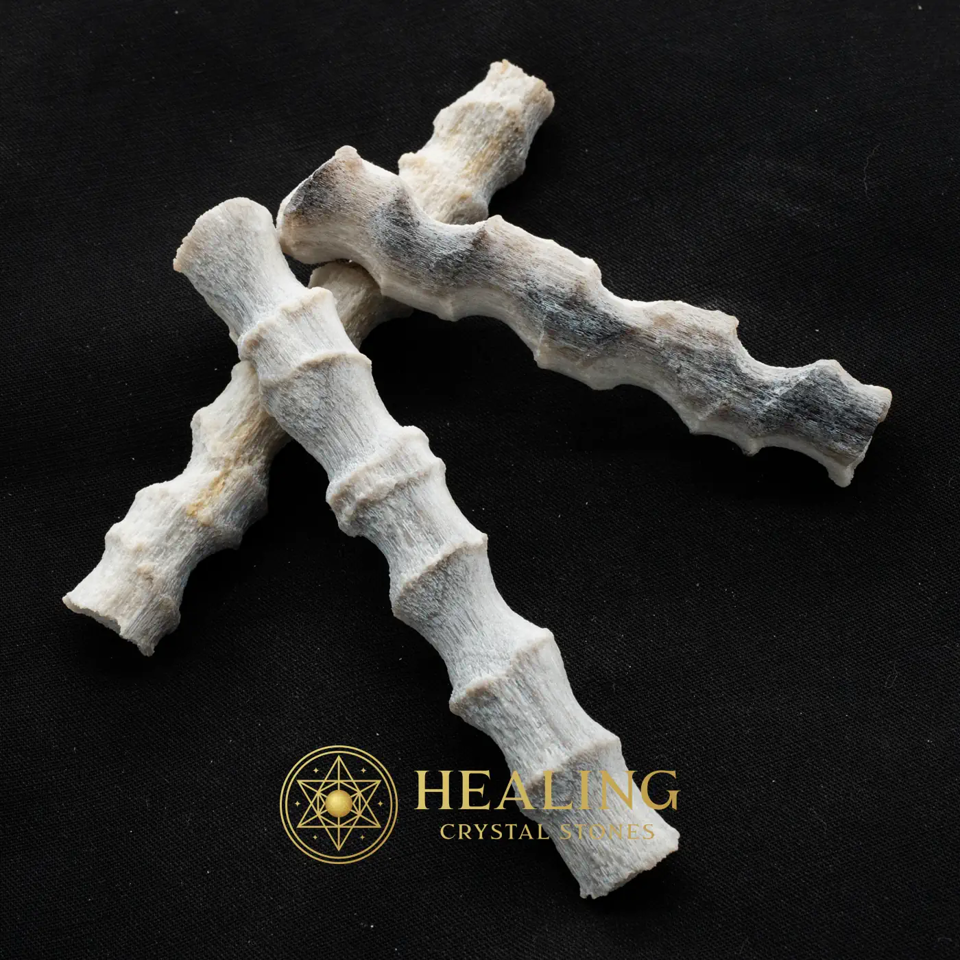 Fossilized Rattan Petok - Type E (Opaque) - Energy Balance Stone, Energy Alignment Crystal, Energy Stones, Life Energy Crystal, Life Force Stone, Energetic, Universal Energy, Positive Energy, Harmony, Balance