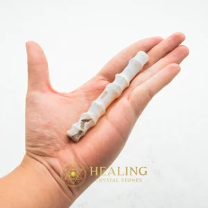 Fossilized Rattan Wood - Type A (White) - Metaphysics, Spiritualism, Spritual, Psychic, Occult, Esoteric Stone, Esoteric Crystal, Esoteric Artifact, Shamanic, Mysticism