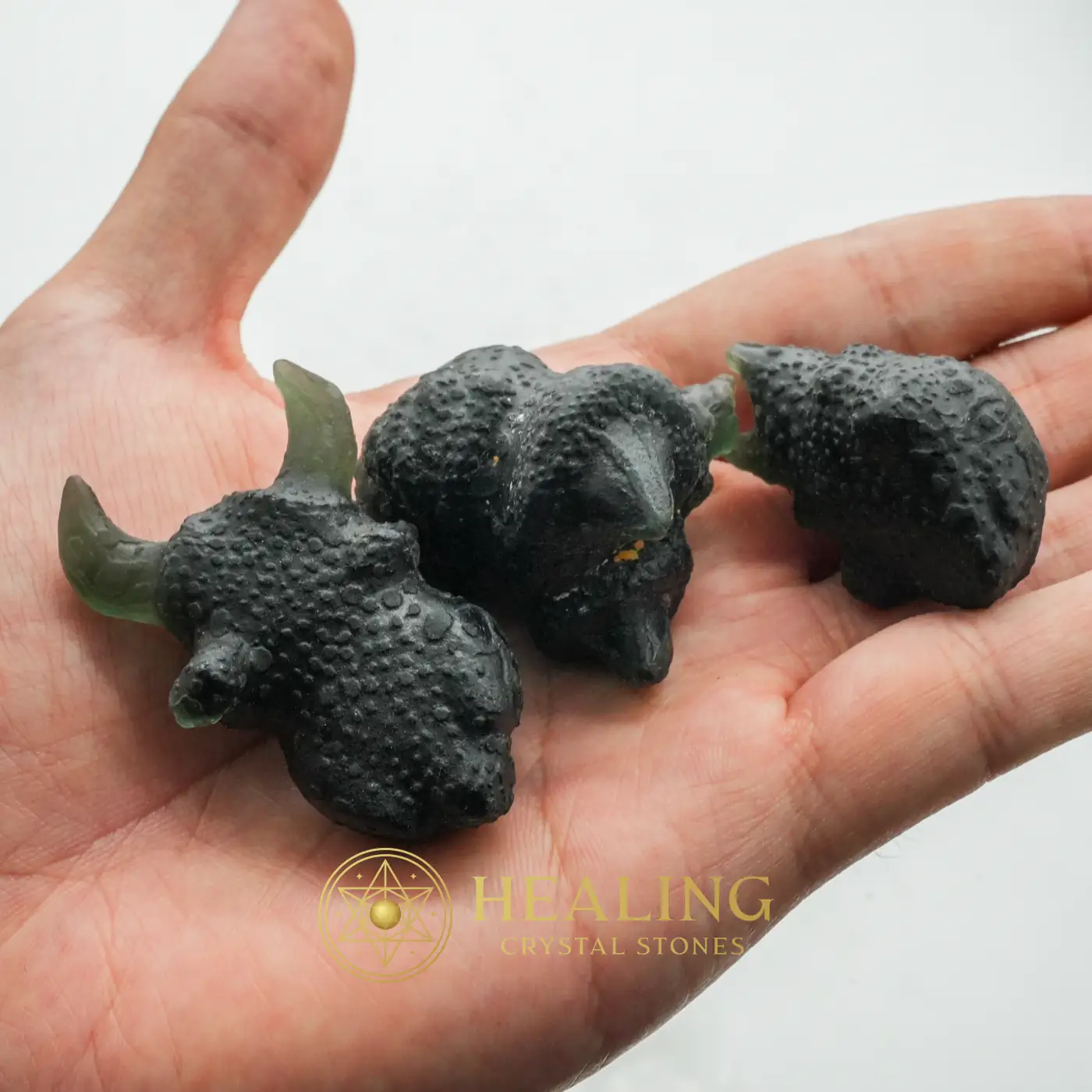Fossilized Redspotted Longhorn Beetles - Type A1 - Talismanic Stones, Talisman Crystals, Mustika Stones, Mustika Pearls, Amulet Stones, Guardian Talisman, Guardian Amulet, Sacred Stones, Fortune, Protection
