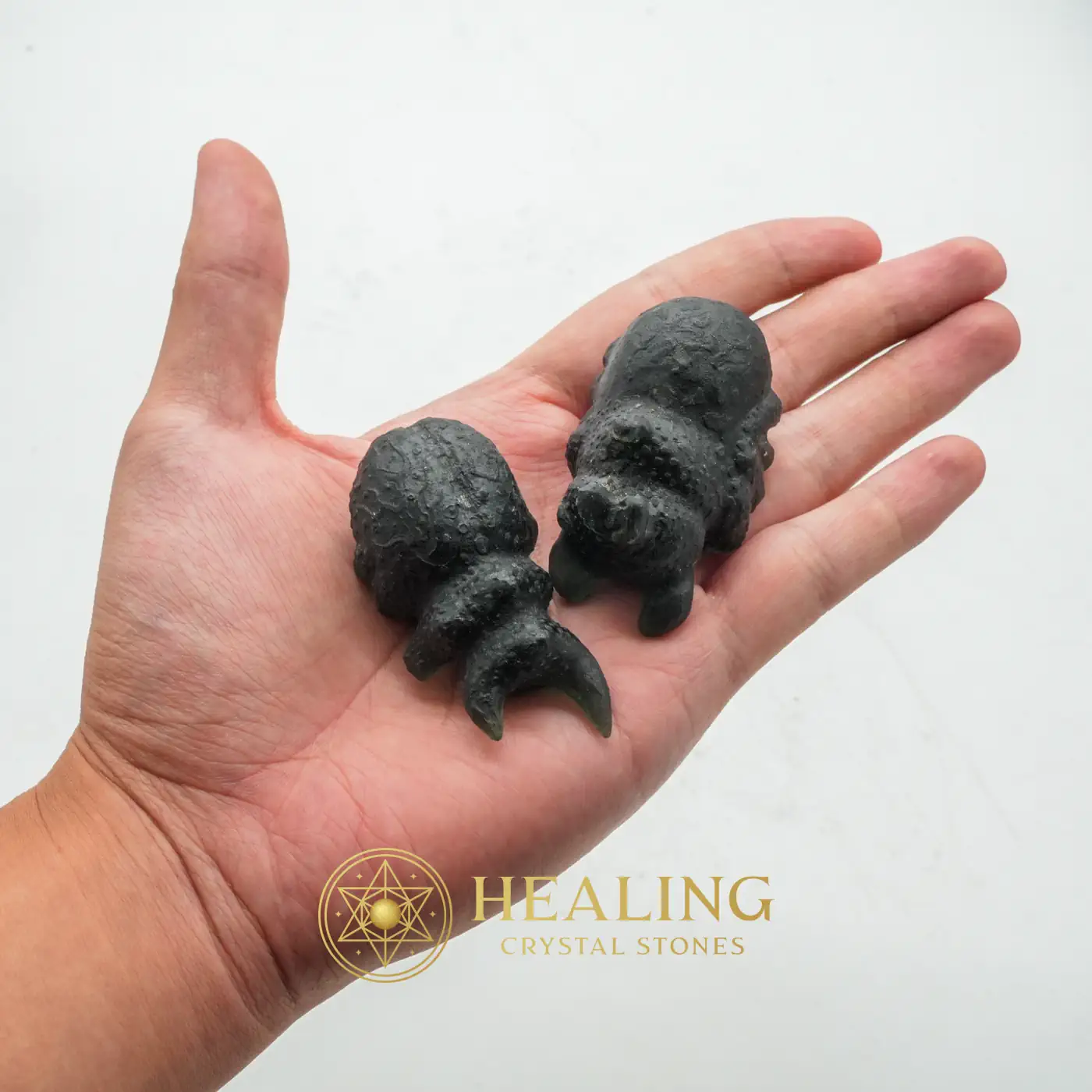 Fossilized Redspotted Longhorn Beetles - Type A2 - Animal Totem Stones, Power Animal Stones, Spirit Crystal, Spirit Stone, Guardian Crystal, Guardian Stone, Nature Crystal, Nature Stone, Shaman, Shamanic