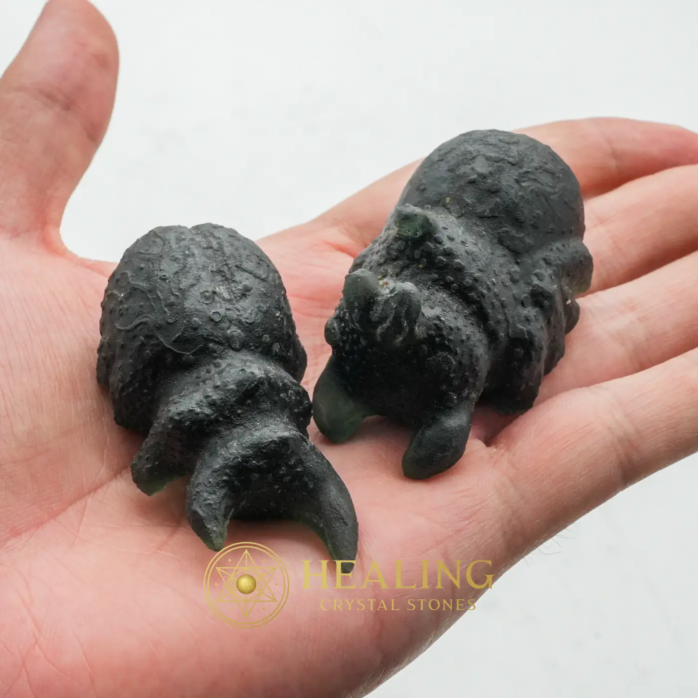 Fossilized Redspotted Longhorn Beetles - Type A2 - Universal Energy, Positive Energy, Energy Stones, Energy Balance Stone, Energy Alignment Crystal, Energetic, Life Energy Crystal, Solar Crystal, Harmony, Balance