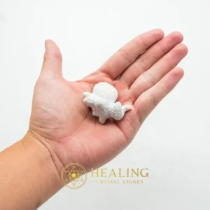 Fossilized Squid - Type A3 - Healing Stones, Emotional Healing, Spiritual Healing, Inner Wisdom, Positive Energy, Universal Energy, Energetic, Harmony, Balance, Cleansing