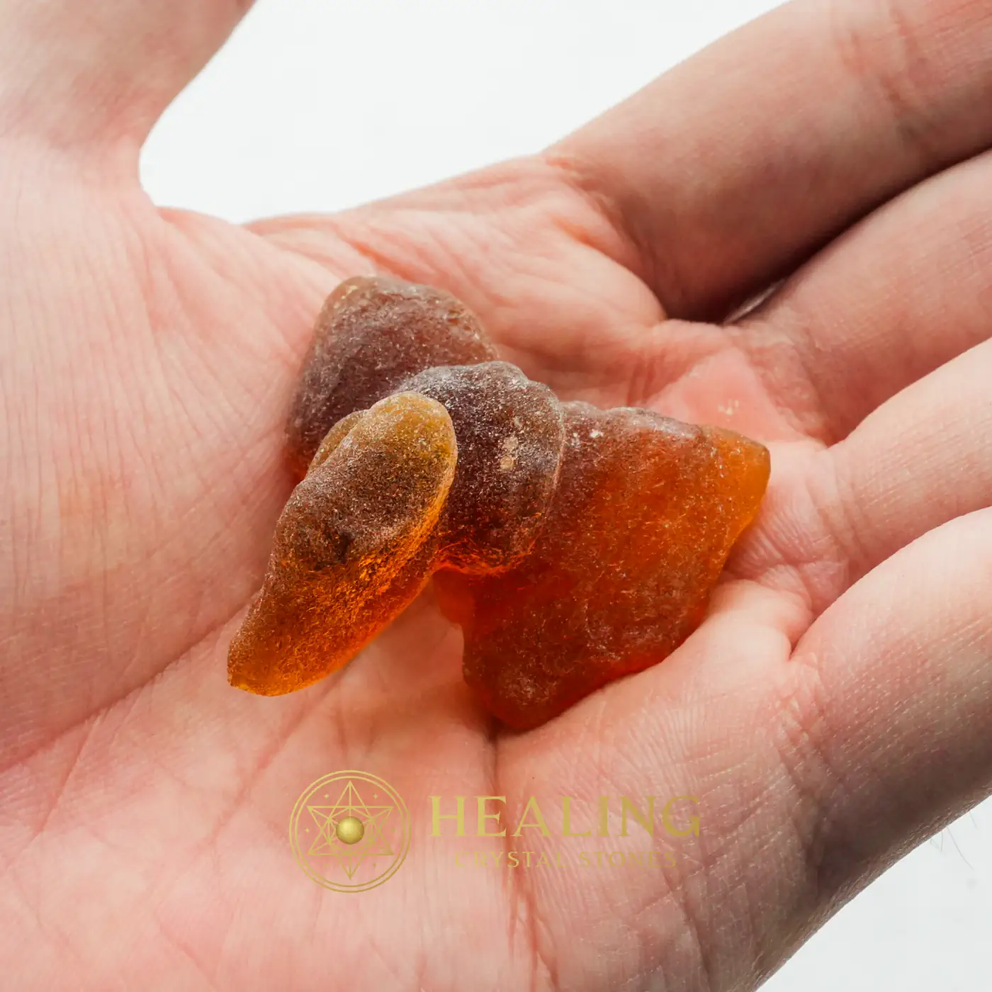 Fossilized Water Sea Water Spider - Type E1 - Ritual Crystals, Ritual Power Stones, Magickal Crystals, Magickal Stones, Magical Stones, Occult, Psychic, Esoteric Crystal, Mystical, Sacred