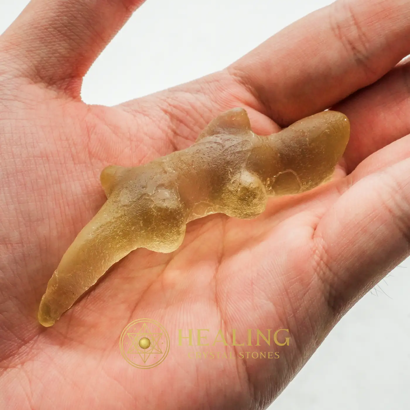 Fossilized Weasel Pearl - Type A13 - Bezoar Stones, Bezoar Crystals, Healing Bezoar Stones, Rare, Authentic, Antique, Exotic, Unique, Exceptional, Artifact