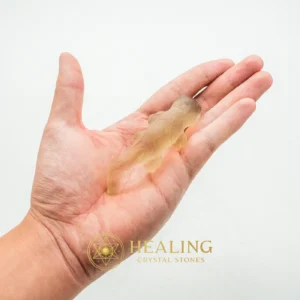 Fossilized Weasel Pearl - Type A15 - Warding Stone, Protective Stone, Negative Energy Protection, Energy Shield Crystal, Cleansing, Purification, Protection, Aura Cleansing Stone, Guardian Stone, Guardian Crystal