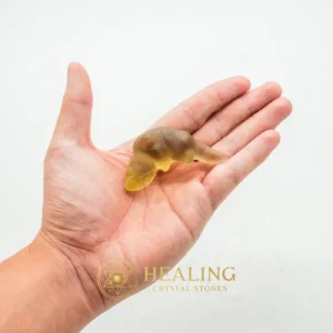 Fossilized Weasel Pearl - Type A17 - Healing Crystals, Mustika Pearls, Mustika Stones, Talismanic Stones, Talisman Crystals, Sacred Stones, Mystical, Divine, Rare, Unique